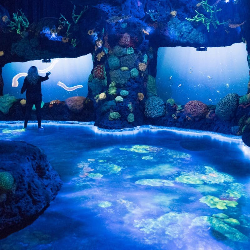 interior venue event space with aquarium