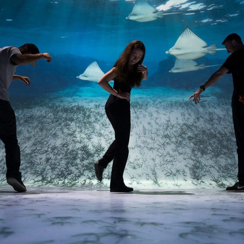people in front of an aquarium