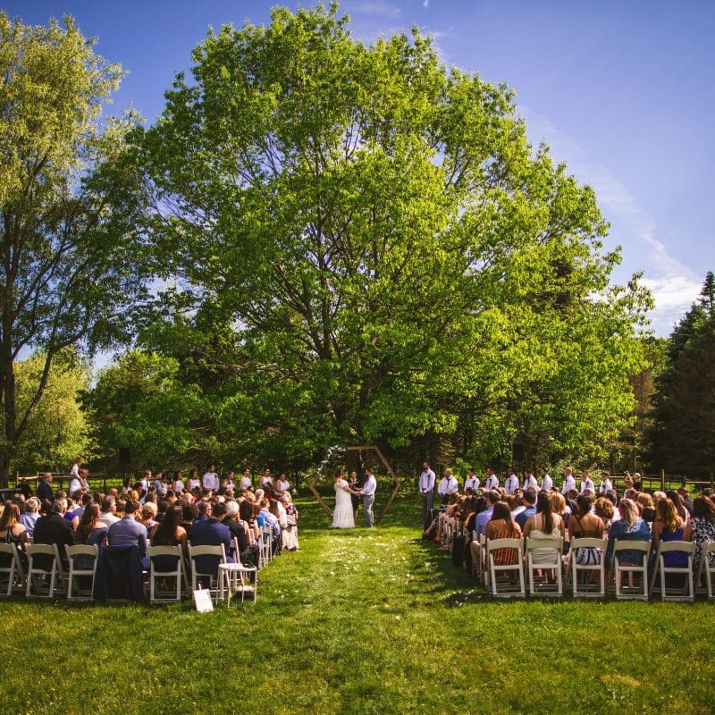 An outdoor alter with the wedding guests