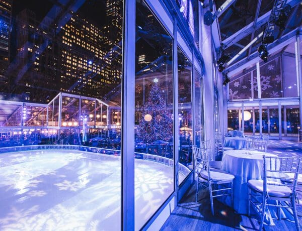 Bryant Park Overlook holiday event venue overlooking christmas tree nyc
