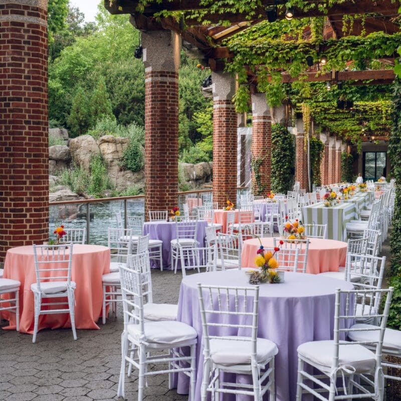 Tables in set for a picnic at Central Park Zoo