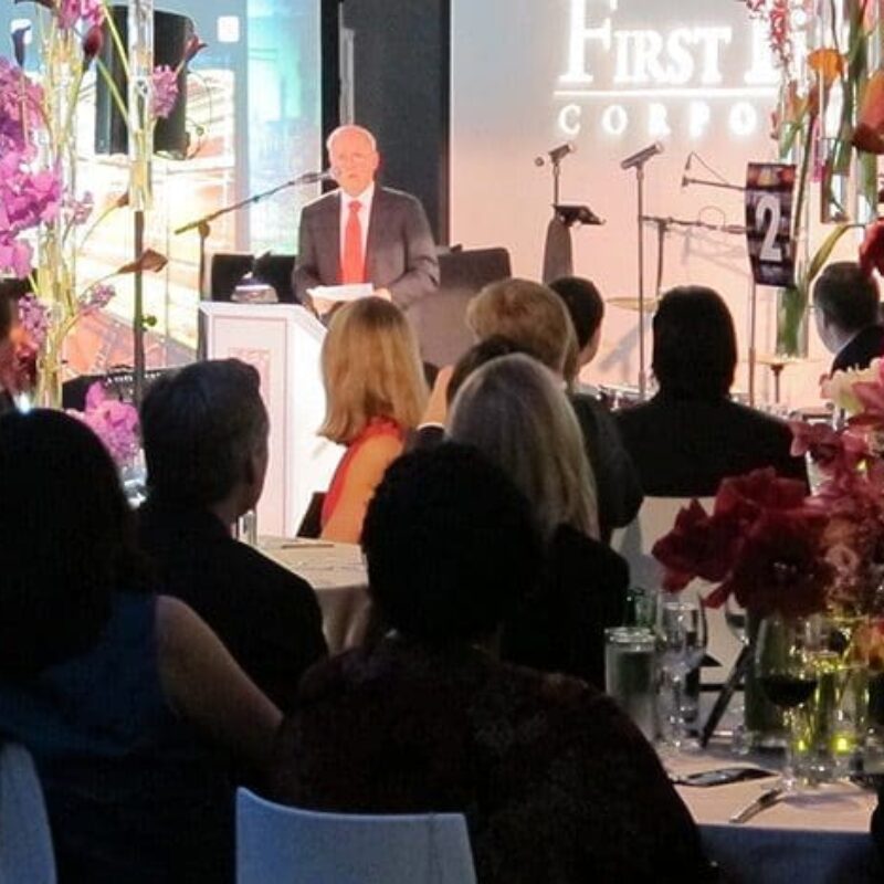 guests watching a speaker at a podium